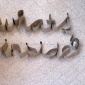 whats_inside21615